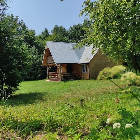 Domek W Lesie Czerce Exterior foto