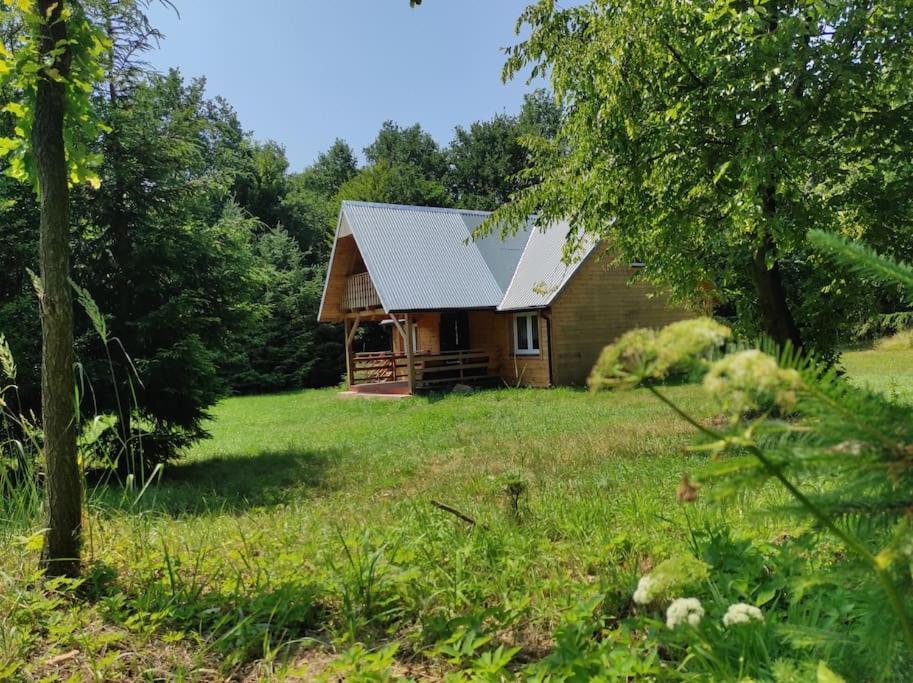 Domek W Lesie Czerce Exterior foto
