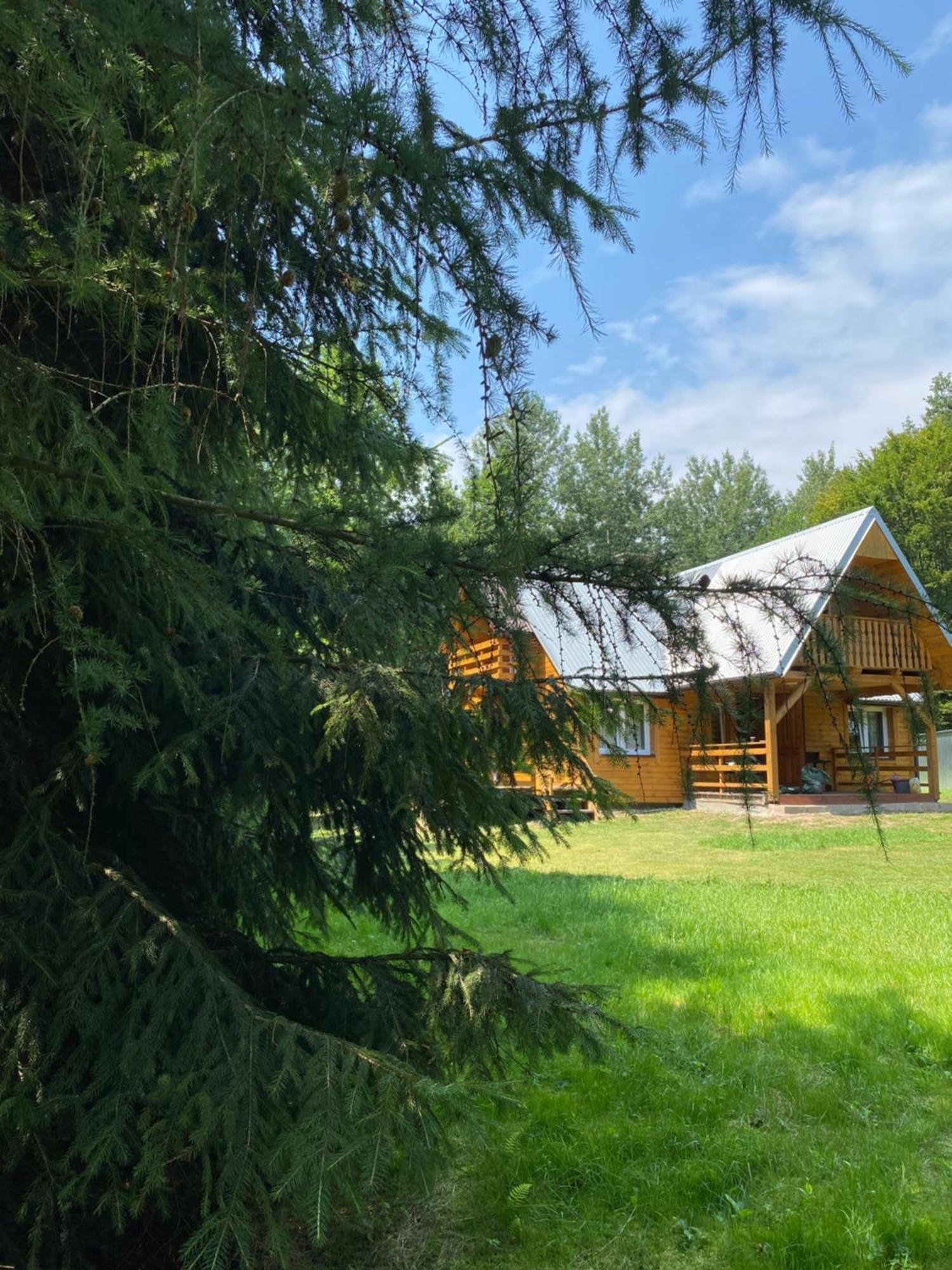 Domek W Lesie Czerce Exterior foto